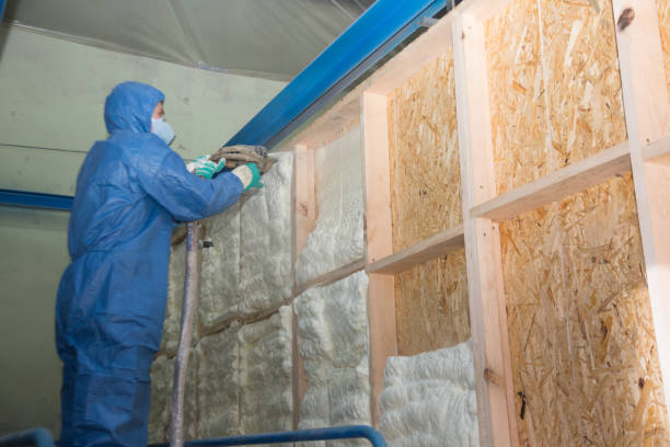 Best Local Insulation Services  in Kearns, UT